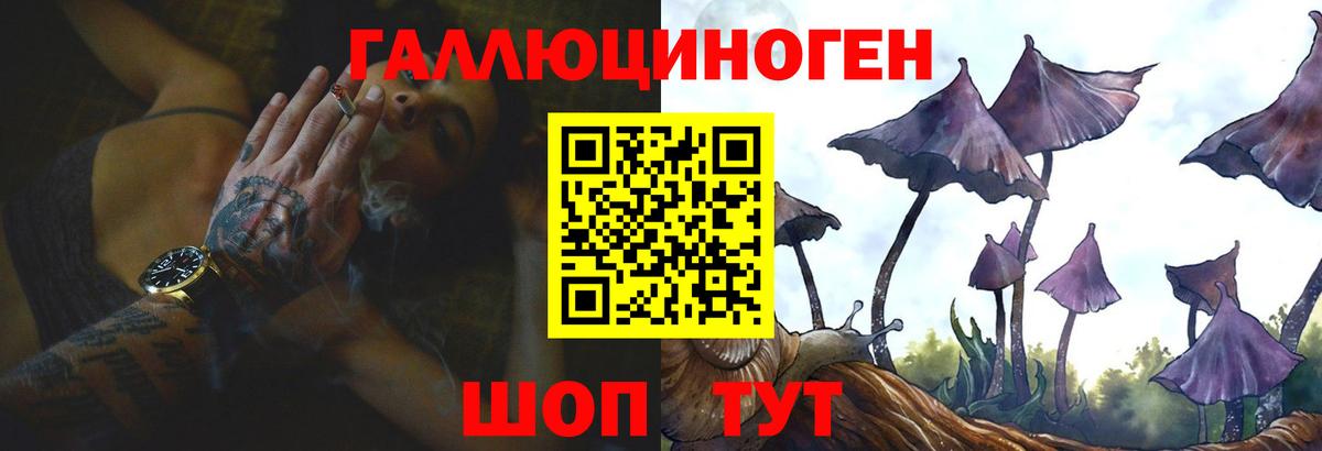 Галлюциногенные грибы GOLDEN TEACHER Дербент